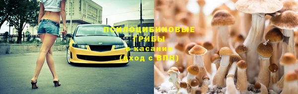мдпв Протвино