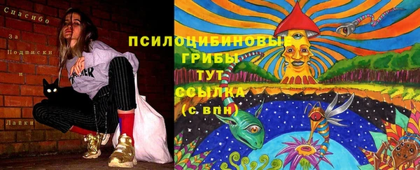 стаф Пролетарск