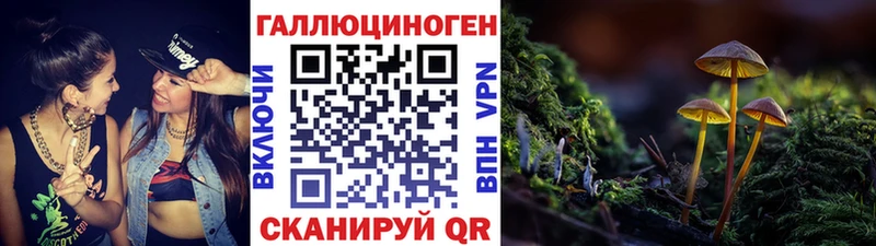 Псилоцибиновые грибы Psilocybine cubensis  Купить где  Любань 
